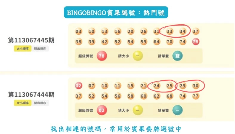 賓果賓果必中技巧！台灣最夯彩票遊戲藏祕辛？｜bingobingo