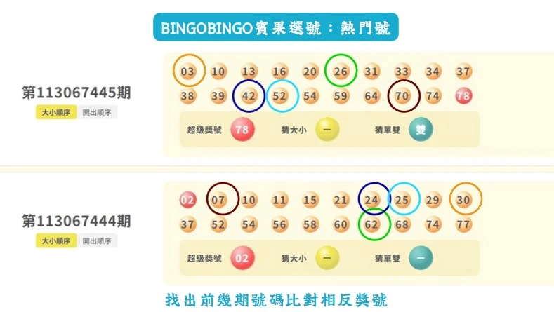 賓果賓果必中技巧！台灣最夯彩票遊戲藏祕辛？｜bingobingo